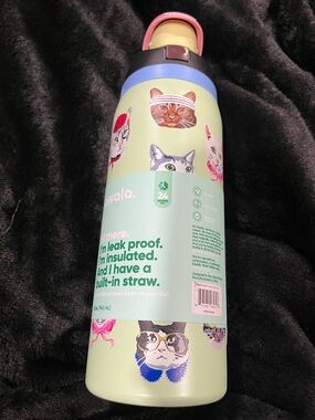 Owala Cat Pattern Insulated Water Bottle - Mint Green with Pink Accent